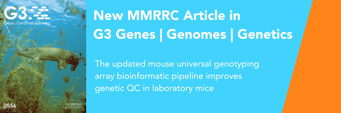 An image of MiniMUGA Genotyping Tool Updated to Improve Accuracy in Mouse Research