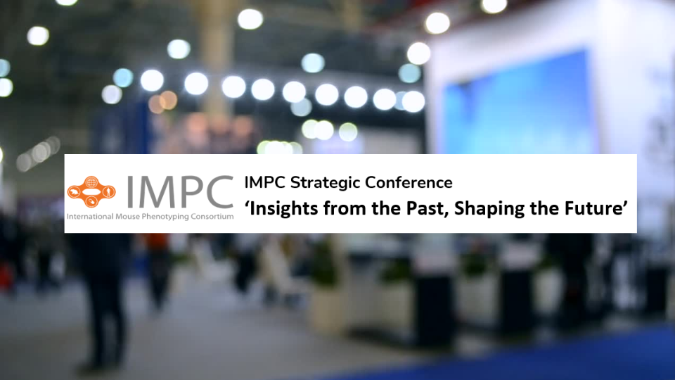 Featured image for news article: ‘Insights from the Past, Shaping the Future’ – IMPC Stragegic Conference
