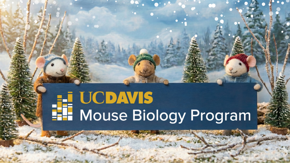 Featured image for news article: Seasons Greetings from MBP