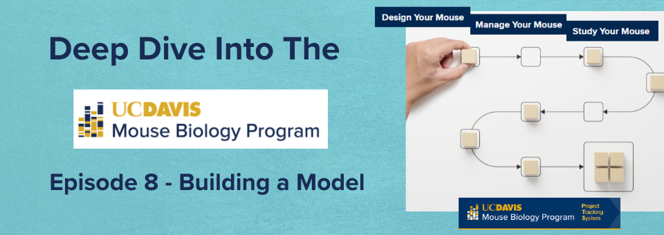 Featured image for news article: Behind the Curtain – Building a Model